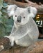 koala12